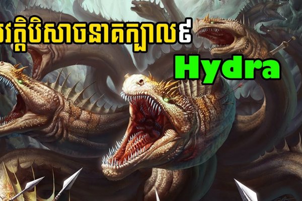 Кракен сайт дарк нет