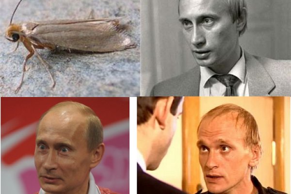 Кракен ссылка в тор